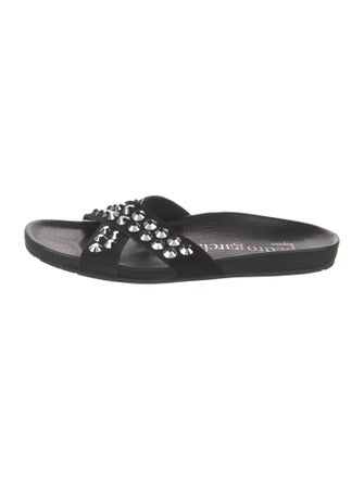 Pedro Garcia Suede Crystal Embellishments Slides