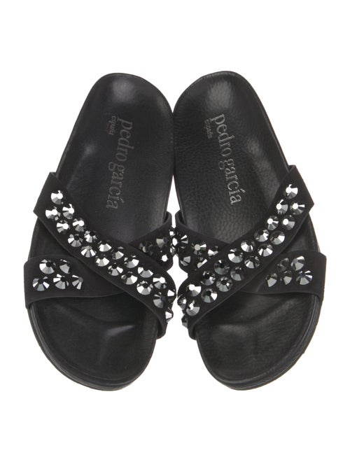 Pedro Garcia Suede Crystal Embellishments Slides