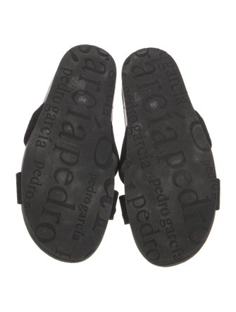 Pedro Garcia Suede Crystal Embellishments Slides