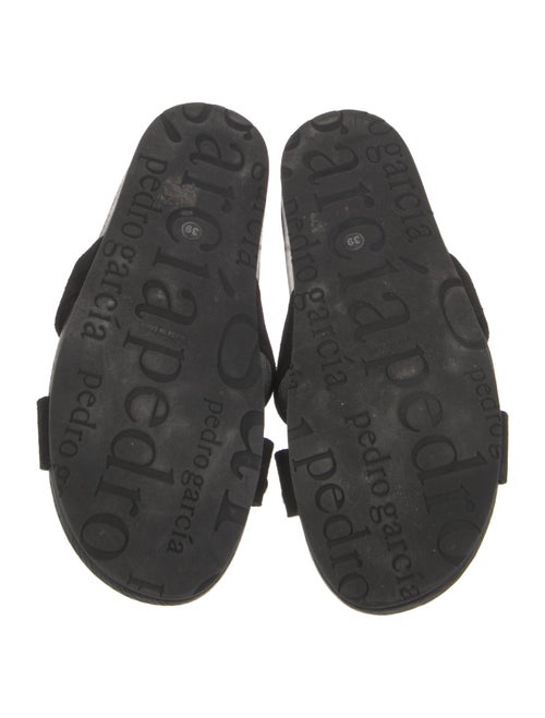 Pedro Garcia Suede Crystal Embellishments Slides