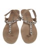 Pedro Garcia Suede Crystal Embellishments T-Strap Sandals