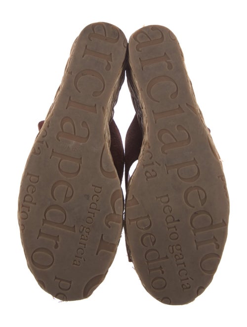 Pedro Garcia Suede Espadrilles