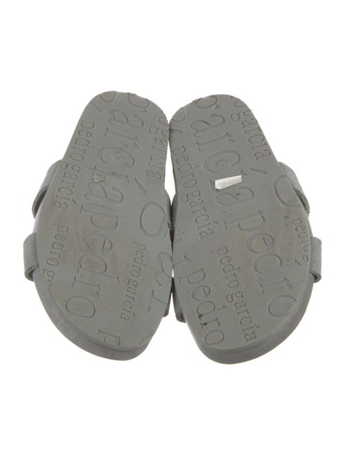 Pedro Garcia Suede Crystal Embellishments Slides