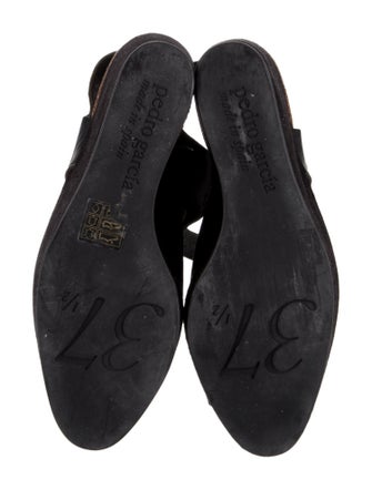 Pedro Garcia Suede Sandals