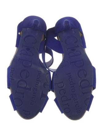 Pedro Garcia Suede Slingback Pumps