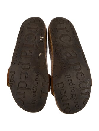 Pedro Garcia Suede Slides
