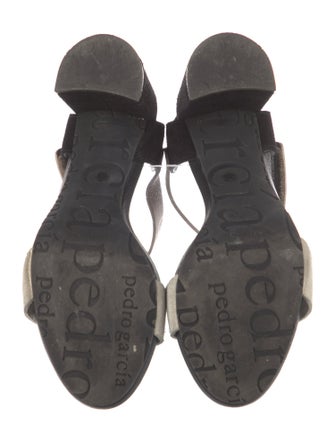 Pedro Garcia Suede Sandals