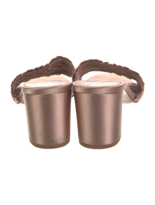 Pedro Garcia Nylon Raw-Edge Trim Slides