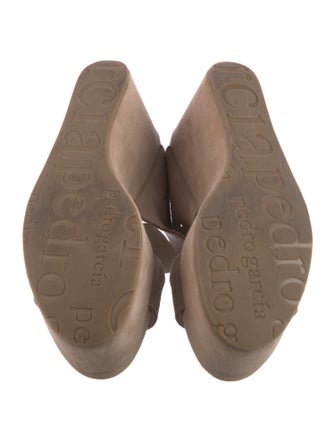 Pedro Garcia Suede Mules