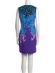 Peter Pilotto Printed Mini Dress