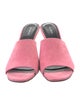 Peter Do Suede Slides