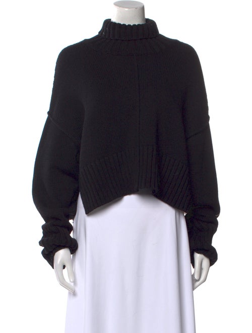 Peter Do Turtleneck Sweater