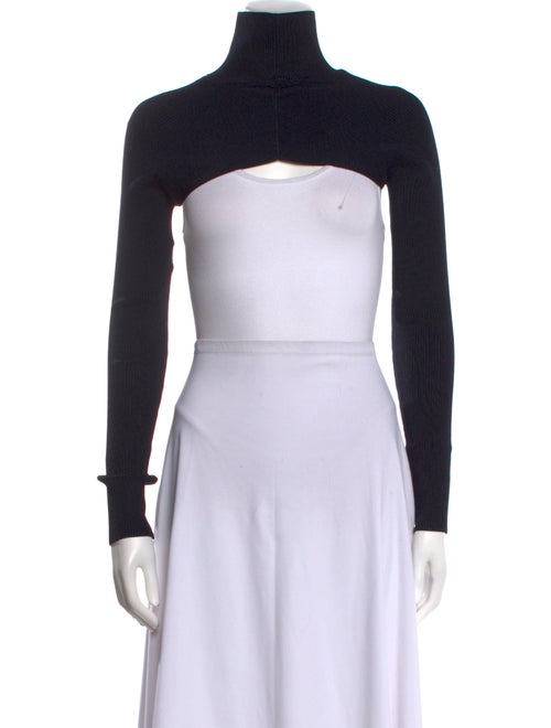 Peter Do Turtleneck Long Sleeve Crop Top