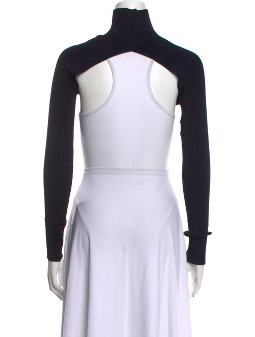 Peter Do Turtleneck Long Sleeve Crop Top