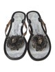 Philipp Plein Rubber Slides