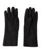 Philipp Plein gloves