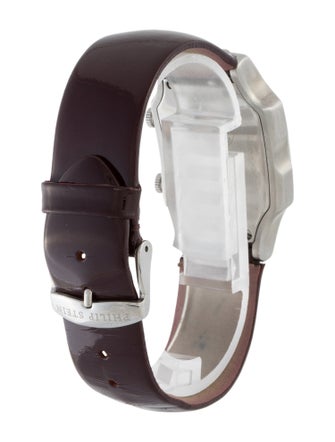 Philip Stein Teslar Watch