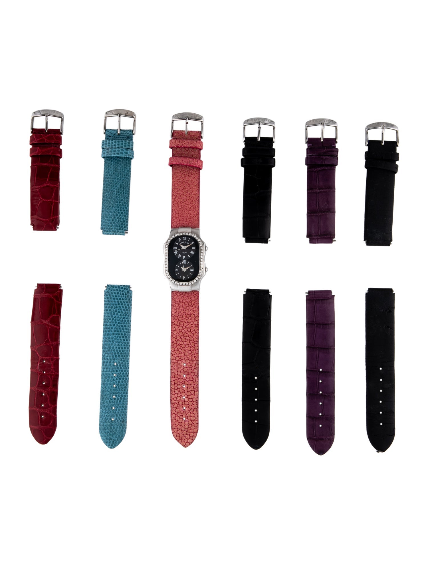 Philip Stein Teslar Watch