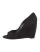 Pierre Hardy Suede Pumps