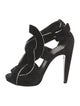 Pierre Hardy Suede Pumps