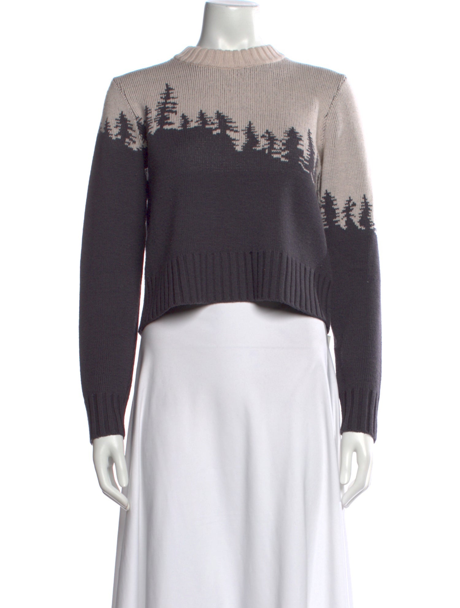 Pendleton Merino Wool Graphic Print Sweater