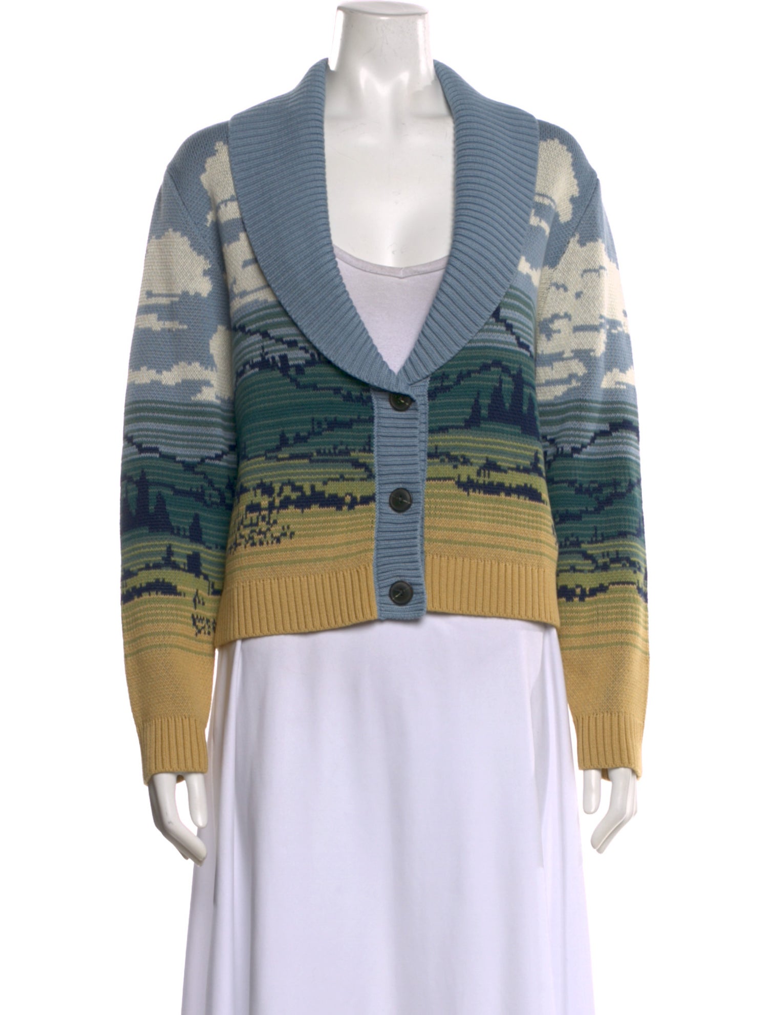 Pendleton Printed V-Neck Sweater w/ Tags