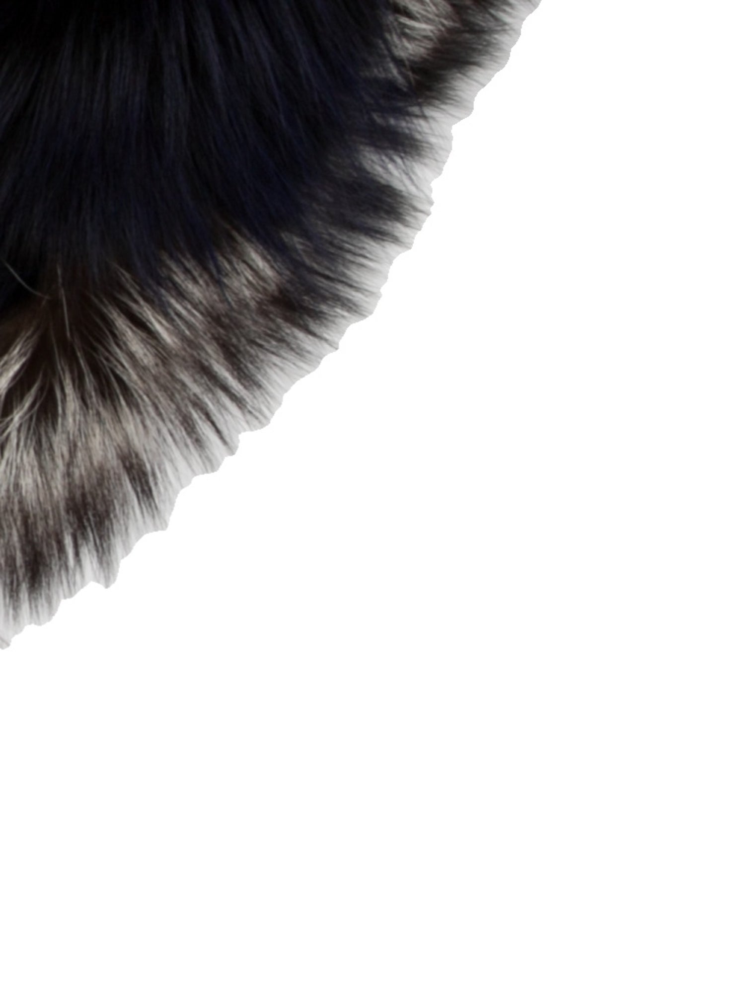 Pologeorgis Fur Scarf