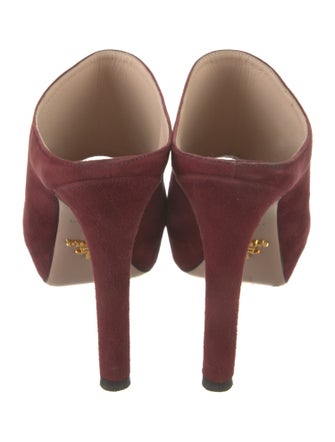 Prada Suede Mules
