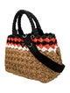Prada Raffia Grass Top Handle Bag