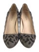 Prada Suede Printed Pumps