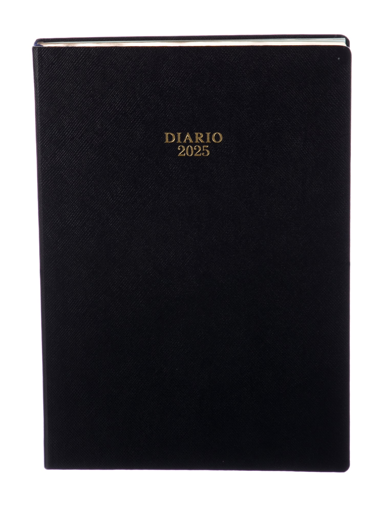 Prada 2025 Diary