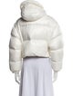 Prada 2022 Re-Nylon Down Jacket
