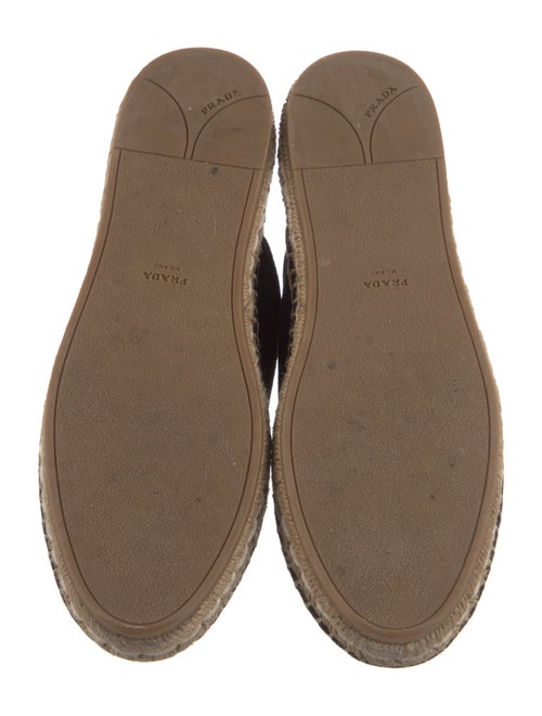 Prada Suede Espadrilles