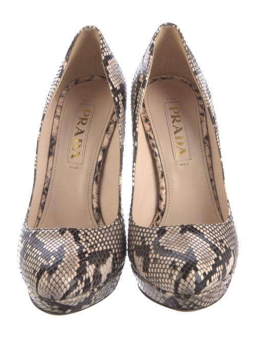 Prada Snakeskin Animal Print Pumps