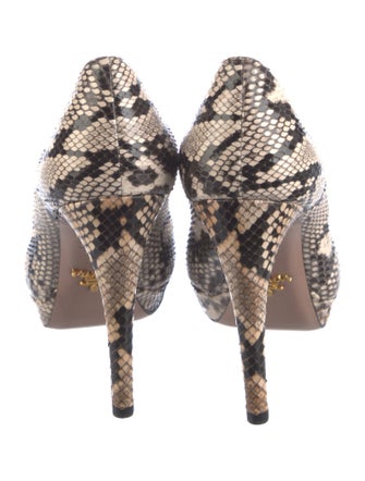 Prada Snakeskin Animal Print Pumps