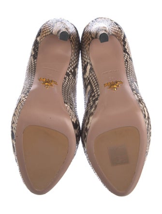 Prada Snakeskin Animal Print Pumps