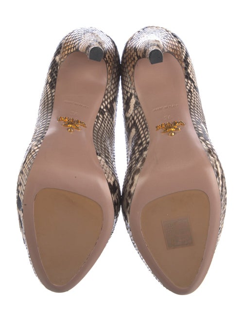 Prada Snakeskin Animal Print Pumps
