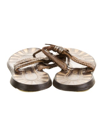 Prada Python Animal Print Slides