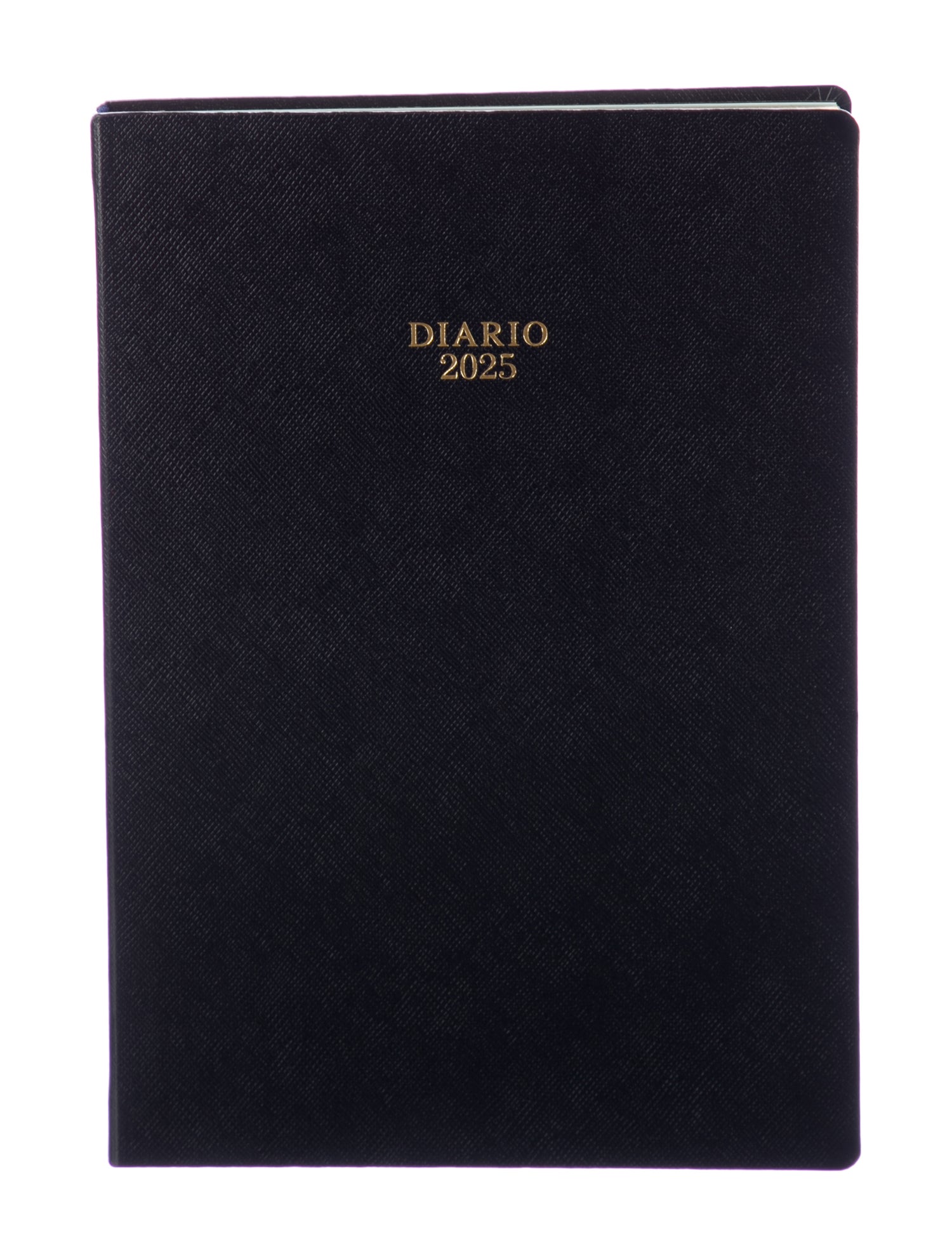 Prada 2025 Diary
