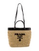 Prada Raffia Bucket Bag Small