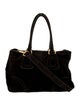 Prada Scamosciato Suede Shoulder Bag