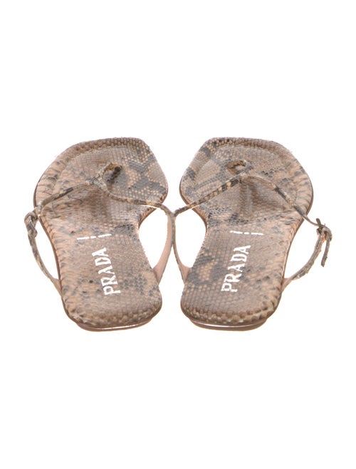 Prada Python Animal Print Flip Flops