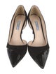 Prada Suede D'Orsay Pumps