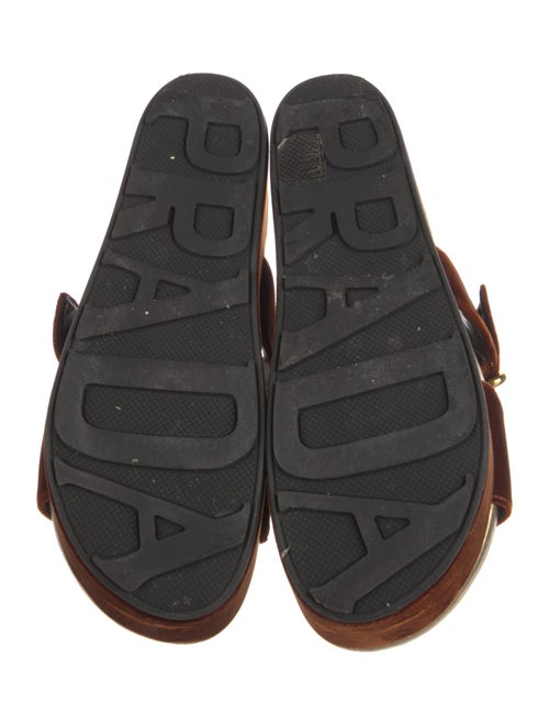 Prada Velvet Slides