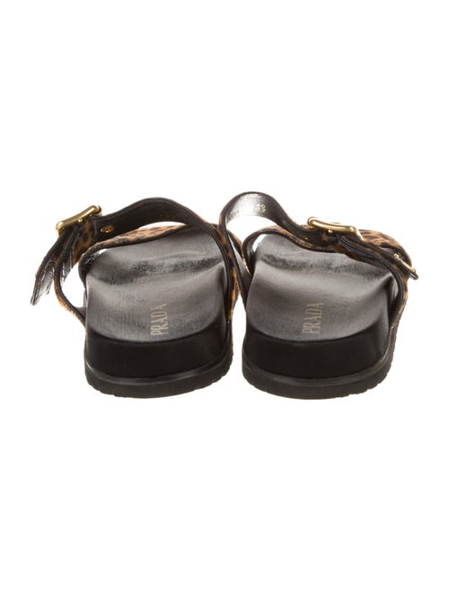 Prada Ponyhair Animal Print Slides