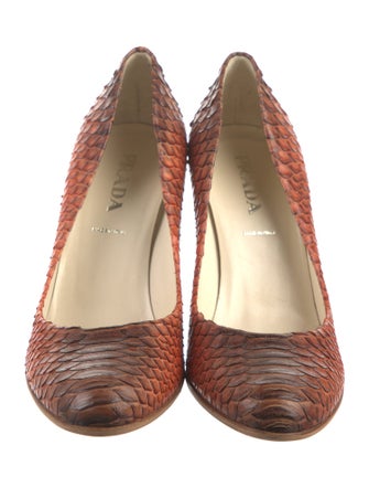 Prada Python Pumps