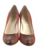 Prada Python Pumps