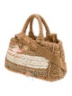 Prada Raffia Grass Top Handle Bag