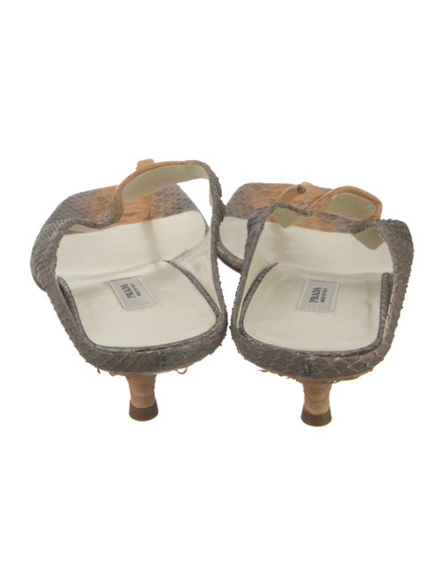 Prada Python Colorblock Pattern Flip Flops