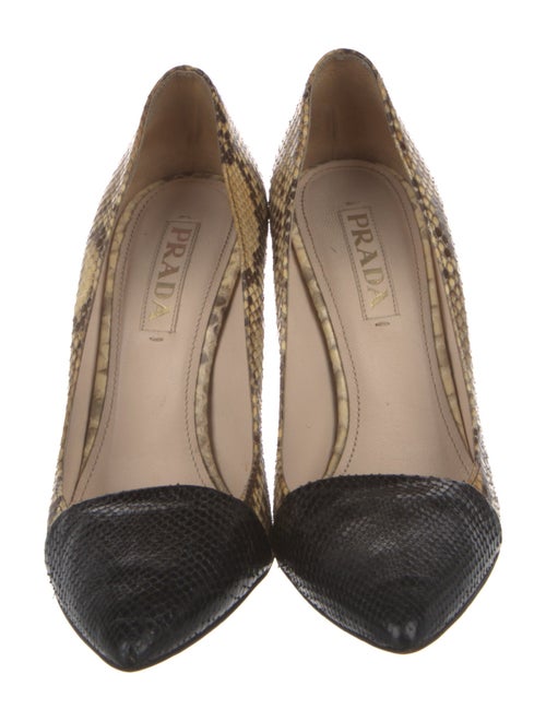 Prada Python Animal Print Pumps